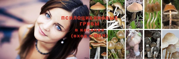 прущая мука Иннополис