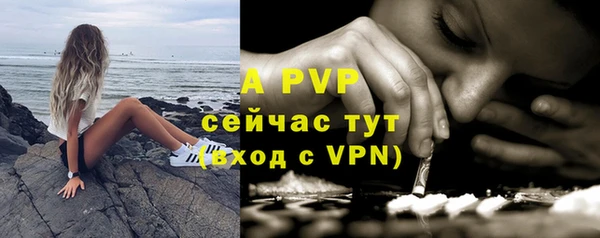 молекула духа Инсар