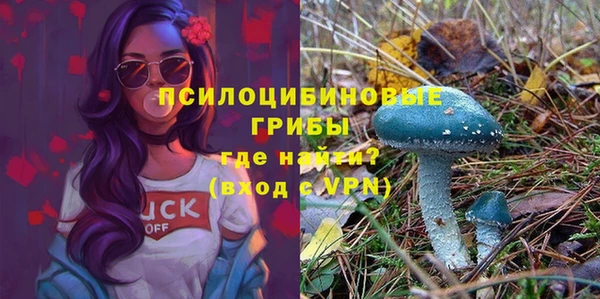 молекула духа Инсар