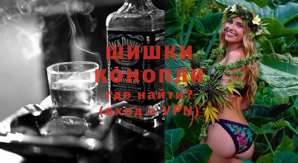 молекула духа Инсар