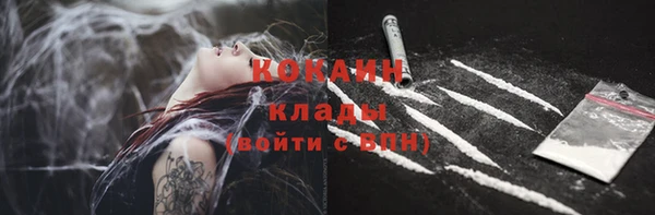 молекула духа Инсар
