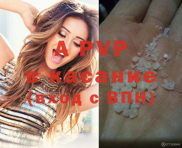 прущая мука Иннополис