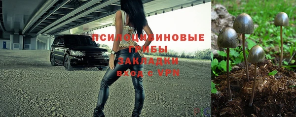 прущая мука Иннополис